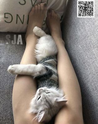 亚洲欧美精品久久久久伦理-日韩资源影音先锋资源